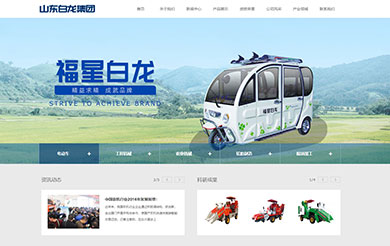 山东白龙集团