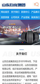山东白龙集团